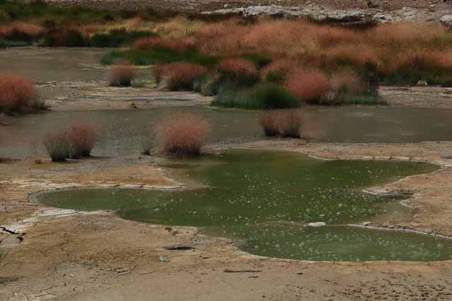 At Mud Volcano